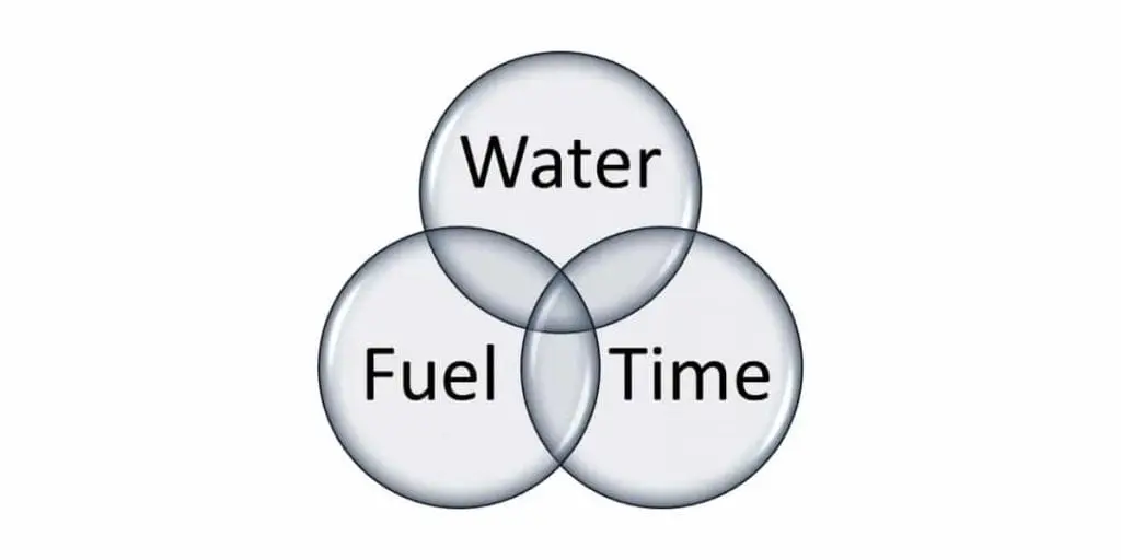 Diesel Bug Infographic